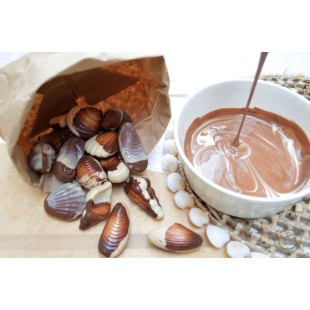 Moule à chocolat en plastique rigide 20 empreintes Fritures