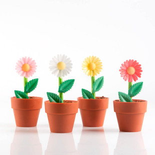 Décor en azyme : 15 marguerites blanches, jaunes, et roses