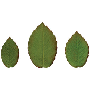 3 emporte-pièces éjecteurs en plastique en forme de feuilles