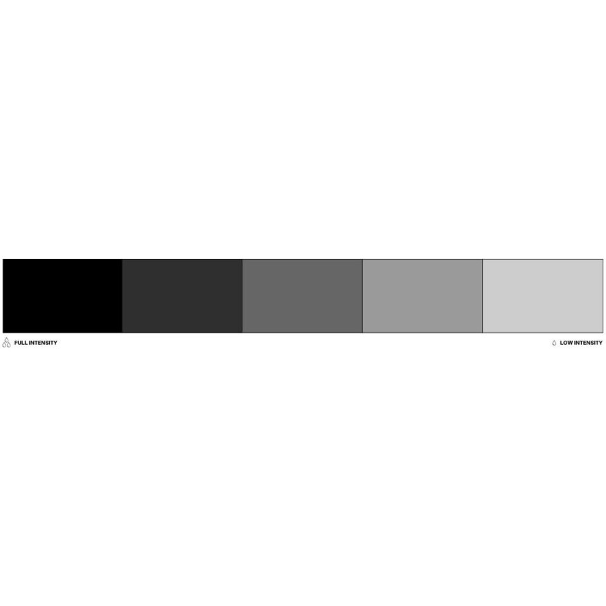 Colorant alimentaire liposoluble noir Black 20 ml - Colour M