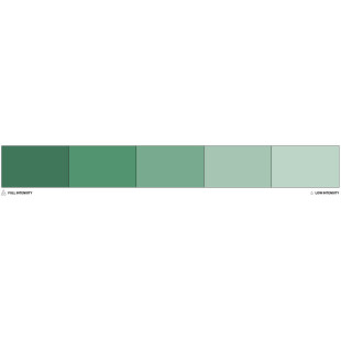 Colorant alimentaire liposoluble vert sauge Sage 20 ml - Colour Mil
