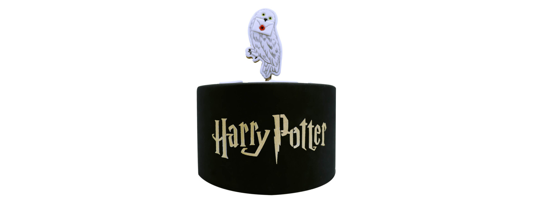 Pochoir en thermoplastique Harry Potter 19.1 x 9.5 cm - PME