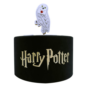 Pochoir en thermoplastique Harry Potter 19.1 x 9.5 cm - PME