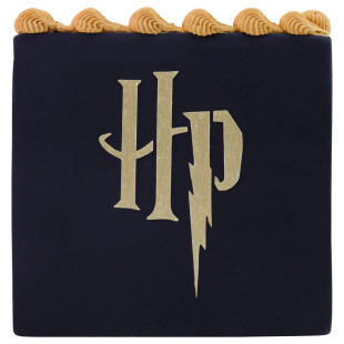 Pochoir en thermoplastique logo Harry Potter 10.4 x 14 cm - 