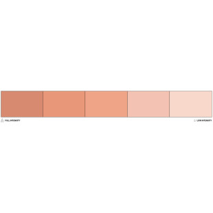 Colorant alimentaire liposoluble beige Nude 20 ml