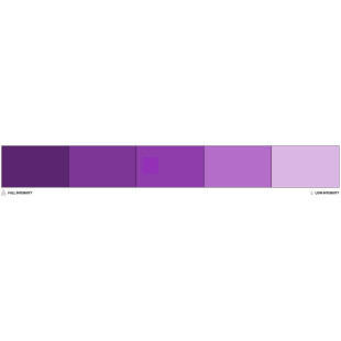 Colorant alimentaire liposoluble violet Purple 20 ml