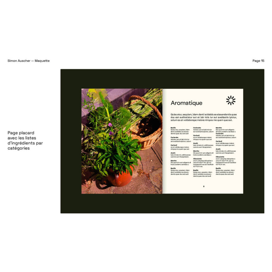 Mosaique Twist Simon Auscher - Hachette pratique