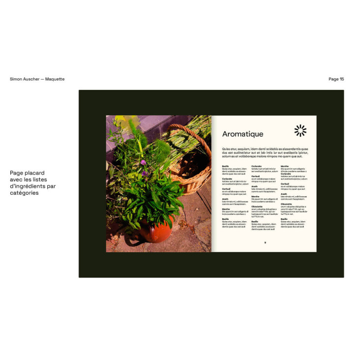 Mosaique Twist Simon Auscher - Hachette pratique