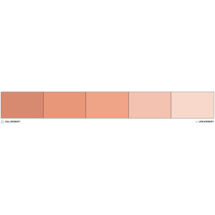 Colorant alimentaire liposoluble beige Nude 20 ml