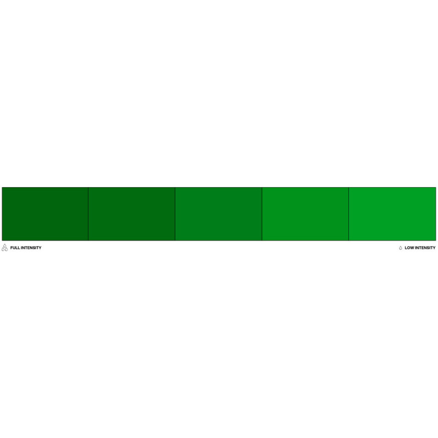 Colorant alimentaire liposoluble vert sapin Forest 20 ml - C