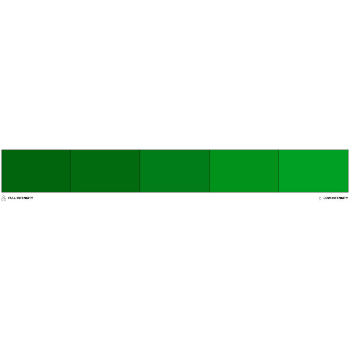 Colorant alimentaire liposoluble vert sapin Forest 20 ml - C
