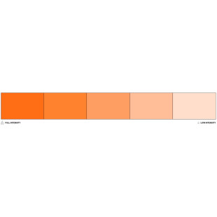 Colorant alimentaire liposoluble Orange 20 ml - Colour Mill