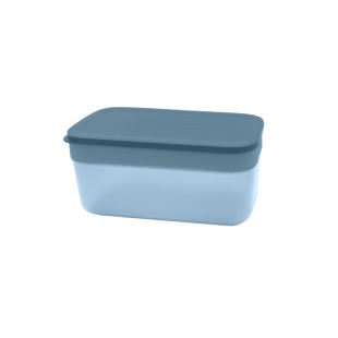 Moule à glaçons en silicone avec bac à glaçons en plastique 