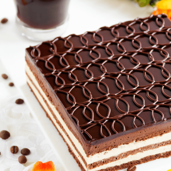 Cadre à pâtisserie carré en inox 24 cm hauteur 4.5 cm - 10/1