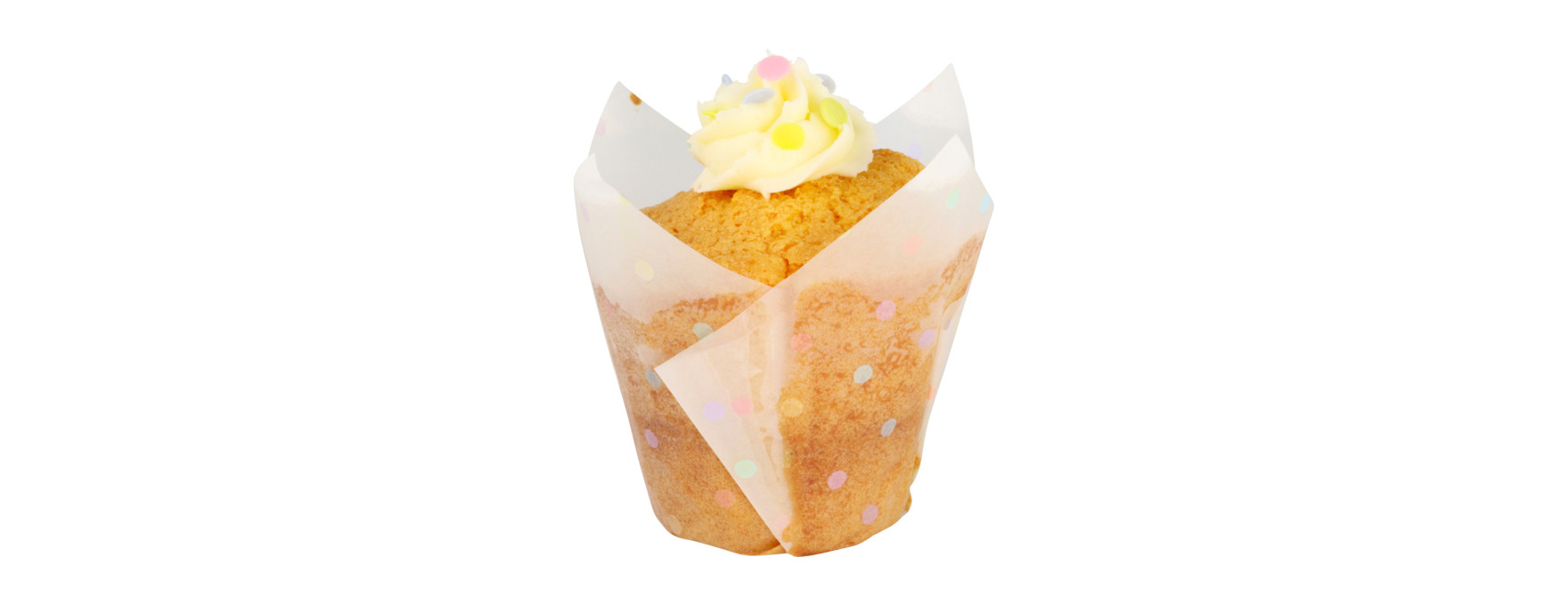 24 caissettes pour muffins et cupcakes décor pois