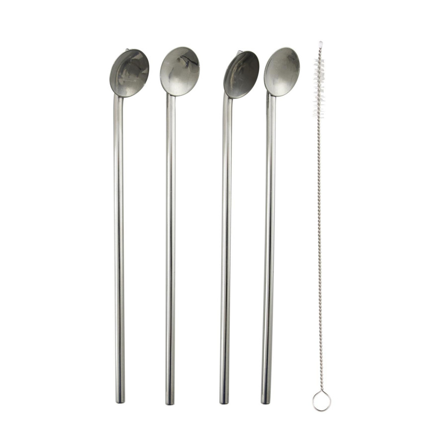 Set de 4 cuillères/pailles en inox avec brosse de nettoyage 
