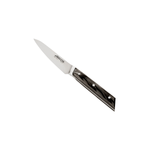 Couteau d'office Eclipse 10 cm - Arcos