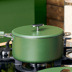 Couvercle inox Le Merveilleux 20 cm fougère - Cookut