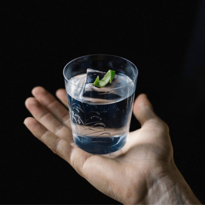 Gin sans alcool Passion 50 cl – Djin | Alice Délice