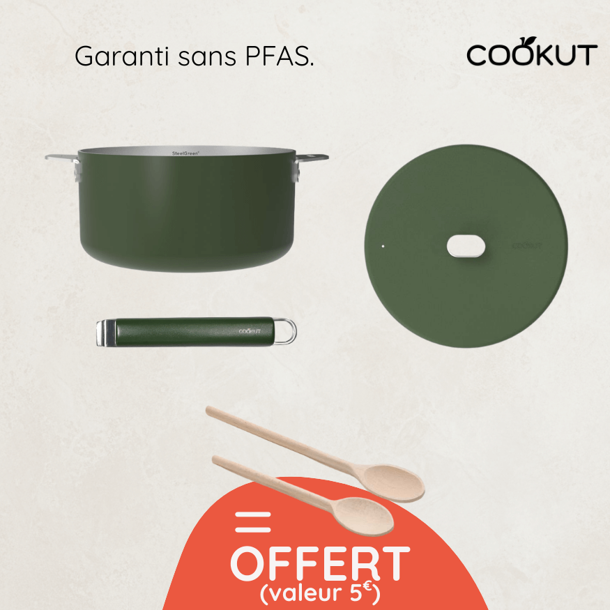 Casserole inox Merveilleuse 20 cm Fougère + cuillères offertes