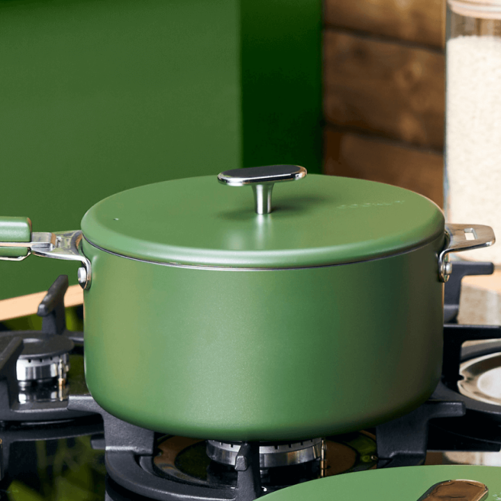 Casserole inox Merveilleuse 20 cm Fougère + cuillères offertes