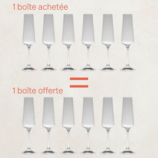 Boîte 6 flûtes 19 cl Spirit – Table Passion