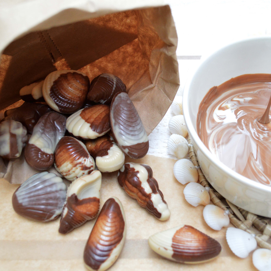 Moule à chocolat en plastique rigide 20 empreintes Fritures 