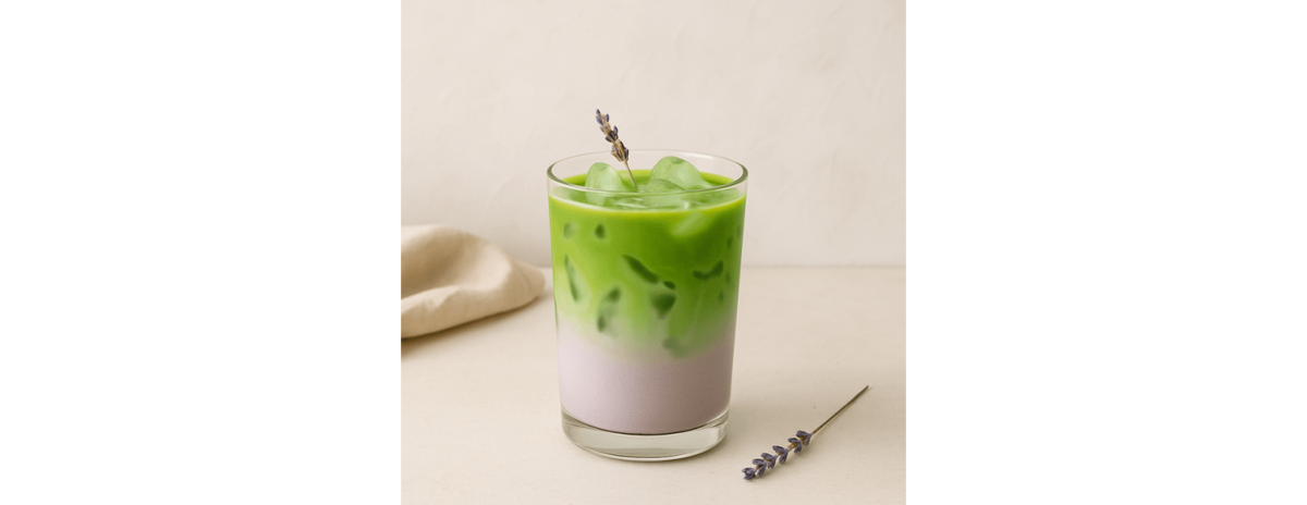 Iced Matcha Latte