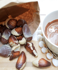 Moule à chocolat en plastique rigide 20 empreintes Fritures